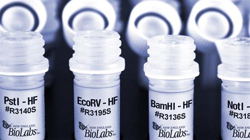 R3140M | PstI HF 50000 units