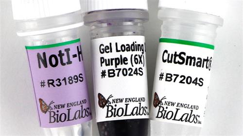 R3189M | NotI HF 2500 units