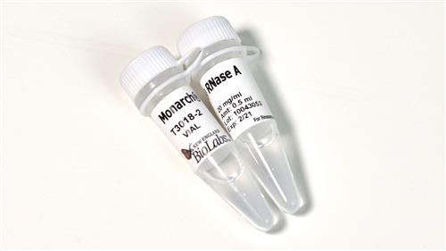 T3018L | Monarch RNase A 1 ml