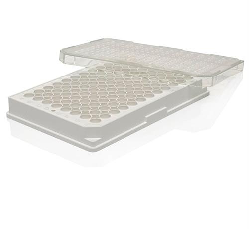 136101 | 96 WELL PLATE FLAT CC ST W LID