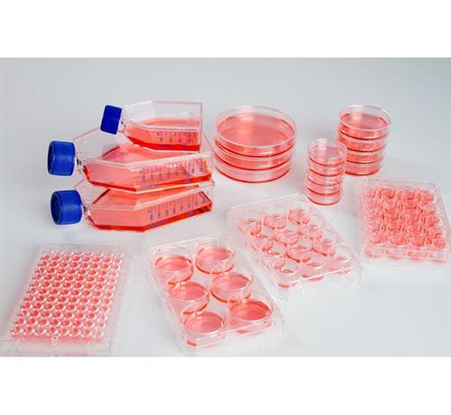 174925 | MW 96U Nunclon Sphera Packed 1 8