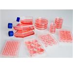 174925 | MW 96U Nunclon Sphera Packed 1 8