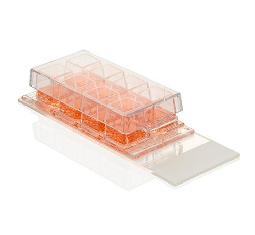 177402 | Lab Tek Chamber Slide w Cover Glass Slide Sterile