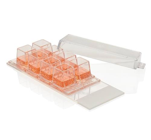 177380 | Lab Tek Chamber Slide w Cover Glass Slide Sterile