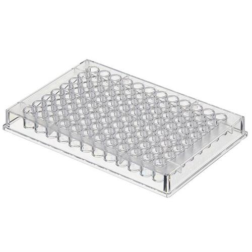456529 | NUNC IMMUNOPLATE F96 POLY