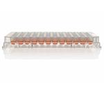 163320 | U96 WELL TC PLATE W LID