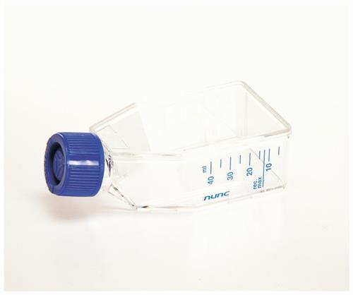 156340 | EASY FLASK 25CM2 Y CAP STERILE