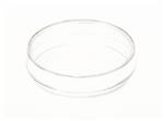 169558 | 60X15MM TC DISH W 2MM GRID
