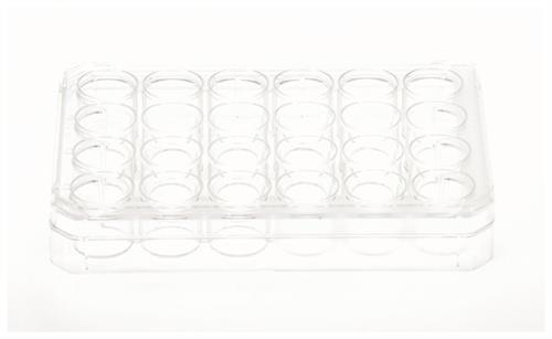 174899 | UpCell 24 Well Multidish 1 6