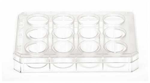 174900 | UpCell 12 Well Multidish 1 6