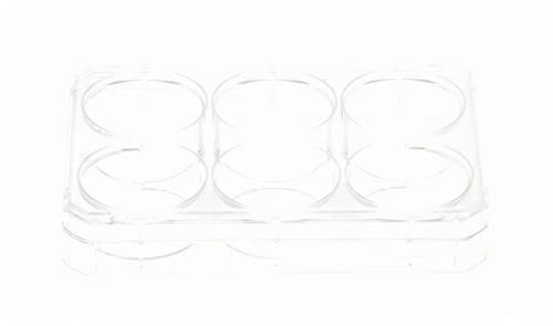 174901 | UpCell 6 Well Multidish 1 6
