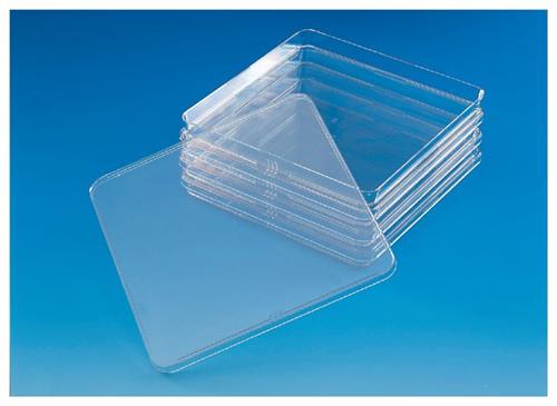 240845 | BIOASSAY DISH LOW PROFILE PS