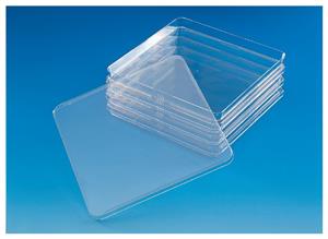 240845 | BIOASSAY DISH LOW PROFILE PS