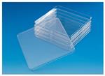 240845 | BIOASSAY DISH LOW PROFILE PS