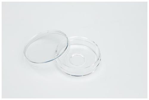 150680 | Glass Bottom Dish 12mm