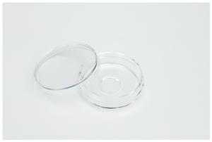 150680 | Glass Bottom Dish 12mm