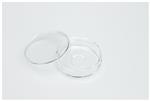 150680 | Glass Bottom Dish 12mm