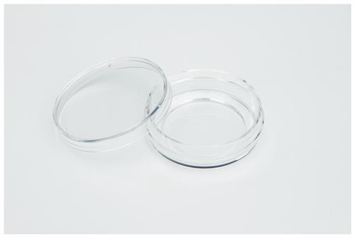 150682 | Glass Bottom Dish 27mm