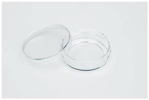 150682 | Glass Bottom Dish 27mm