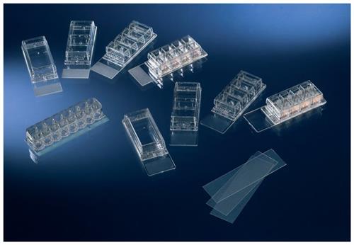 171080 | COVERGLASS 16 WELL CHMBR SLIDE