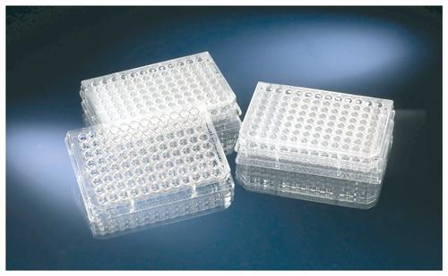 249940 | V96 PS CLEAR STERILE 10 80