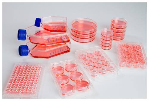 174945 | 90mm Dish Nunclon Sphera Packed 5 20