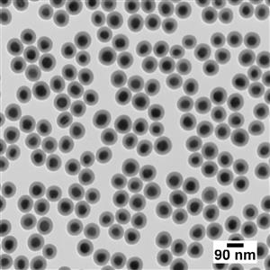 AGAH50-1M | NanoXact Silver Nanospheres Silica Shelled Aminate