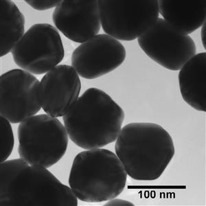 AGBB100-30M | BioPure Silver Nanospheres BPEI 100 nm 1 mg mL in