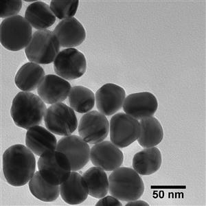 AGBB50-1M | BioPure Silver Nanospheres BPEI 50 nm 1 mg mL in w