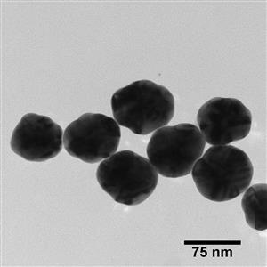 AGPO75-5M | BioPure Silver Nanospheres OECD Standard PVP 75 nm