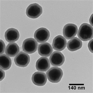 AGSH100-10M | NanoXact Silver Nanospheres Silica Shelled 140 nm