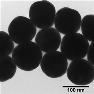 AUBB100-30M | BioPure Gold Nanospheres BPEI 100 nm 1 mg mL in wa