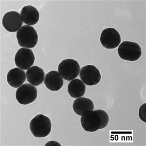 AUBB50-10M | BioPure Gold Nanospheres BPEI 50 nm 1 mg mL in wat