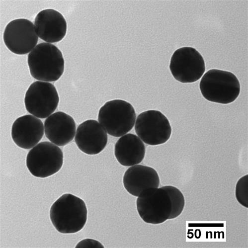 AUBB50-1M | BioPure Gold Nanospheres BPEI 50 nm 1 mg mL in wat