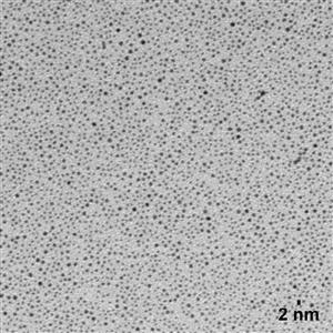 AUDD2-5MG | NanoXact Gold Nanospheres Dodecanethiol Dried 2 nm