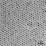 AUDD5-5MG | NanoXact Gold Nanospheres Dodecanethiol Dried 5 nm