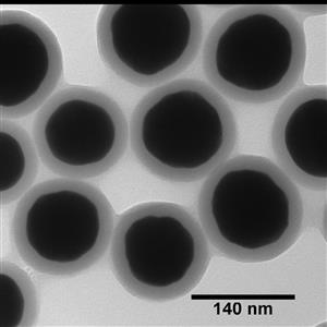 AUSH100-30M | NanoXact Gold Nanospheres Silica Shelled 140 nm 10