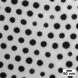 AUYH50-10M | NanoXact Gold Nanospheres Polystyrene 50 nm 1 mg m
