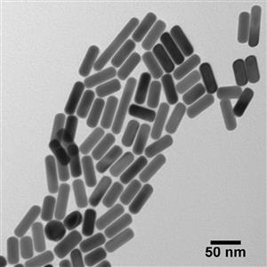 GRXH660-15M | NanoXact Gold Nanorods PEG Carboxyl Peak 660 nm 48