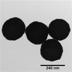 GSLH980-5M | NanoXact Gold Nanoshells Carboxyl Lipoic Acid Peak