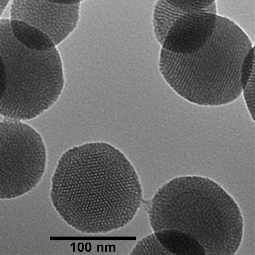 SHAD100-25MG | NanoXact Mesoporous Silica Nanospheres Aminated Dr