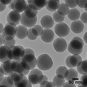 SHSD100-25MG | NanoXact Mesoporous Silica Nanospheres Dried 100 n