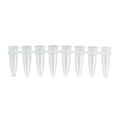 PCR Tube Strips
