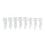 PCR Tube Strips