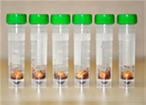 2303-MM1 | Pre Filled Tubes Garnet ZrO Satellites Pack of 100