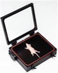 123997 | XIC 3 Animal Isolation Chamber Kit