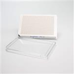6008230 | Shallow-well 384-well white tissue culture-treated (TC-treated) microplate for lower volume and increased sensitivity in cell-based assays. Tissue-culture treated microplates are supplied with lids except when supplied in a case of 200 microplates. Lids for a case of 200 microplates must be purchased separately. Please see part number 6007619, sterile, universal lids for 384-well plates.