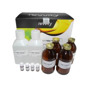 6016739 | ATP luminescence assay for quantitative evaluation of proliferation and cytotoxicity of cultured mammalian cells. The 1step luciferase ATP assay format only requires one addition step, and can be used for continuous processing.
