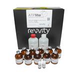 6016947 | The ATPlite assay kit is a luminescence-based assay for quantifying adenosine triphosphate (ATP) in cell-based studies. It provides a reliable method to assess cell viability, proliferation, and cytotoxicity by detecting ATP as a marker of metabolic activity. Optimized for high-throughput screening, the kit ensures robust and reproducible results for diverse cellular analysis applications.
