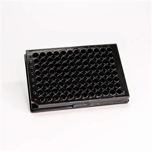 6065400 | The 384-well, white, low binding OptiPlate is a specialized microplate with low-binding surface designed primarily for luminescence assays, though it can also be used for fluorescence applications. The low-binding surface minimizes sample loss and non-specific binding while the white construction provides optimal light reflection and signal enhancement. Ideal for applications requiring sample recovery and sensitive detection.